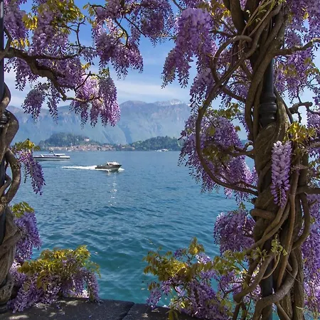 Blue View Lugano - Waterfront Cocoon Valsolda